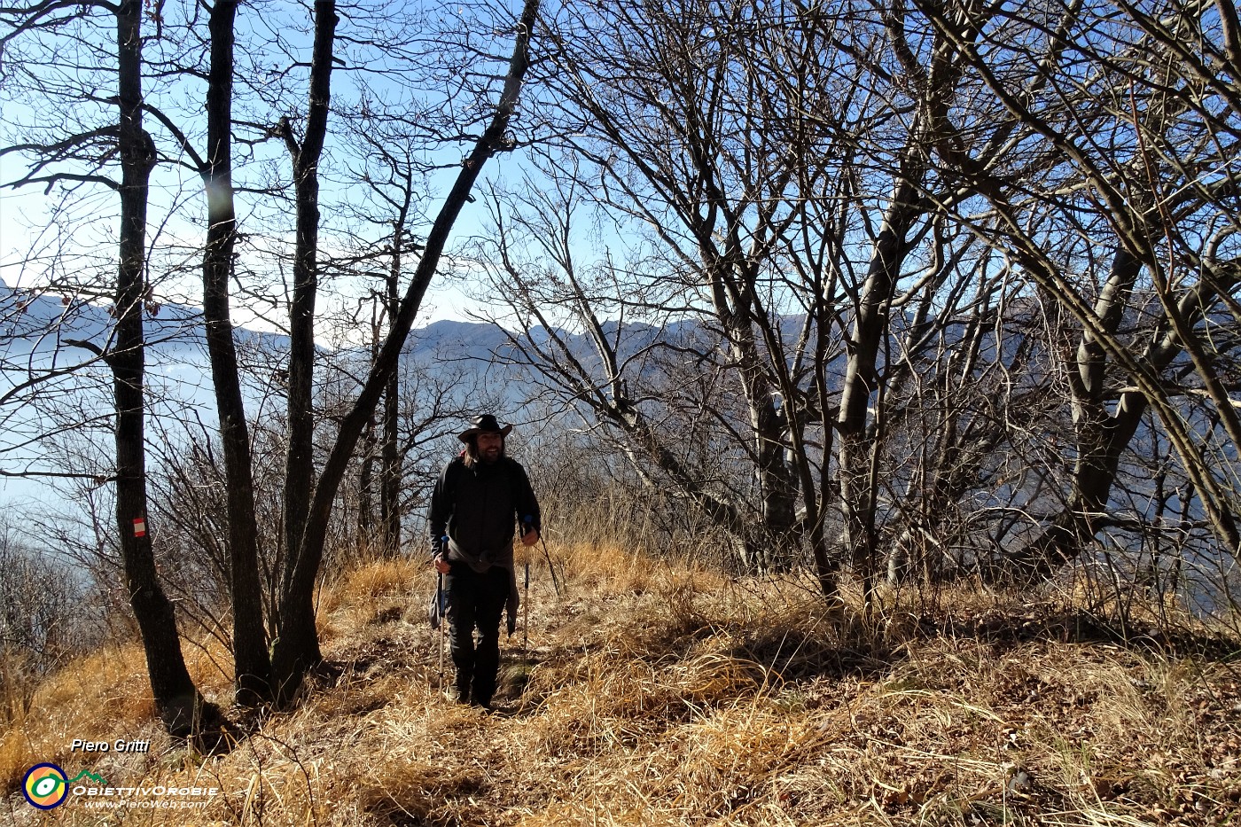 28 Il sentiero si inerpica nel bosco di faggi e carpini neri.JPG